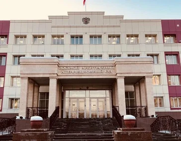 Судебное сопровождение в апелляционной инстанции